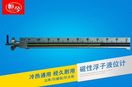 磁浮子液位計(普通側裝